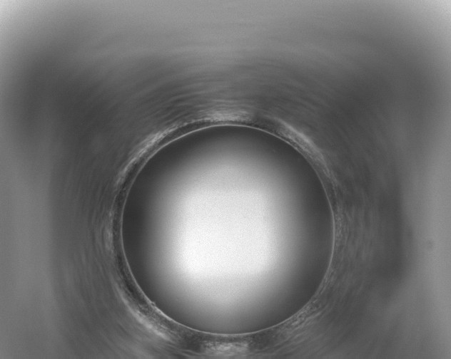 X0000054390155200508051656