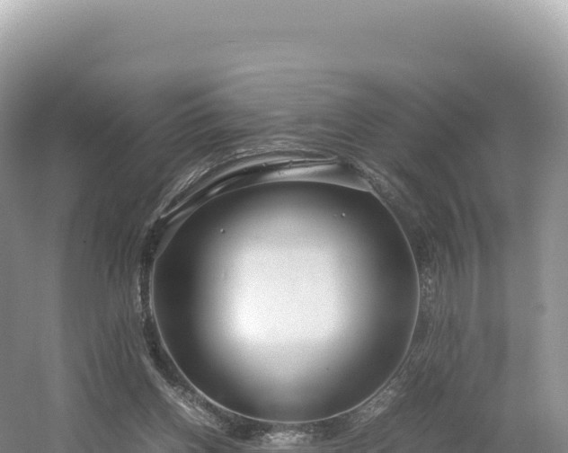 X0000054390158200508051656