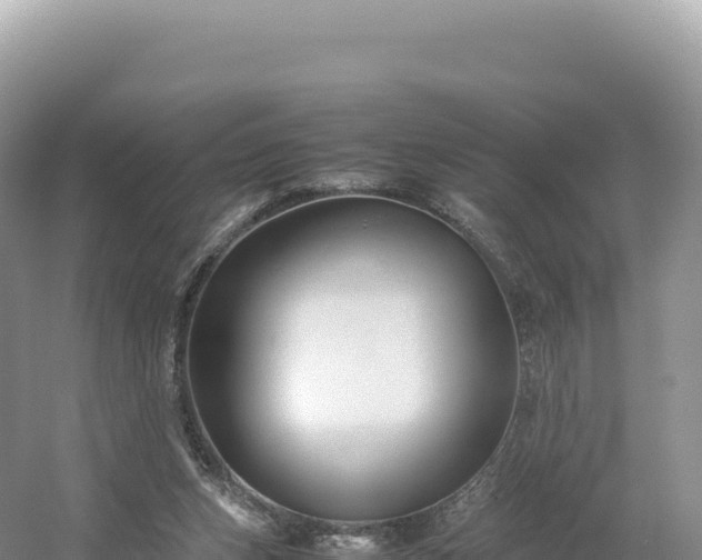 X0000054390159200508051656