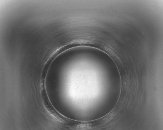 X0000054390160200508051656