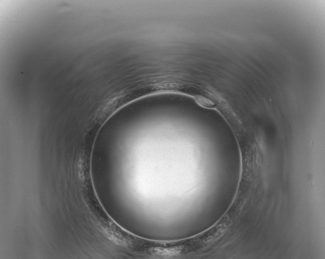 X0000054390161200508051656