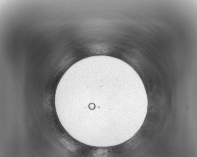 X0000054390162200508051656