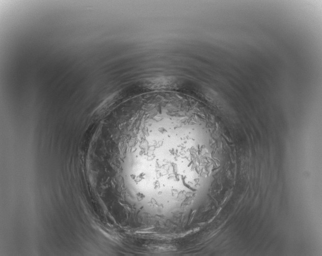 X0000054390165200508051657