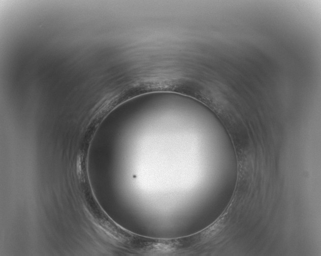 X0000054390166200508051657