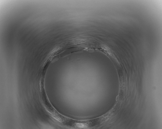 X0000054390167200508051657