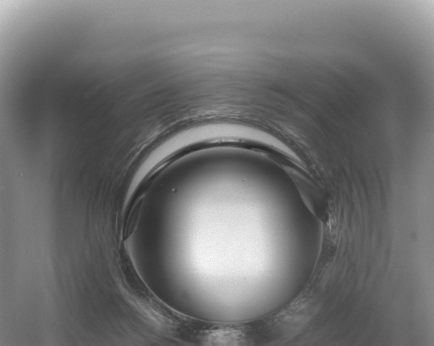 X0000054390168200508051657