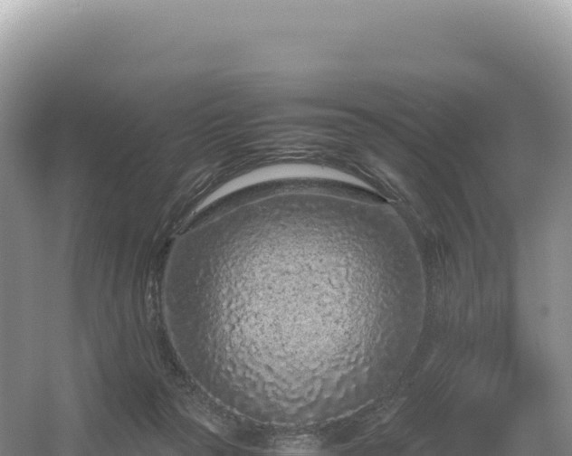 X0000054390169200508051657