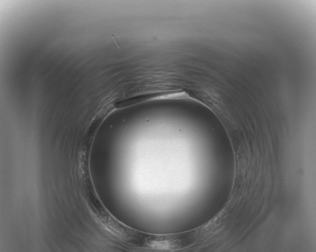 X0000054390171200508051657