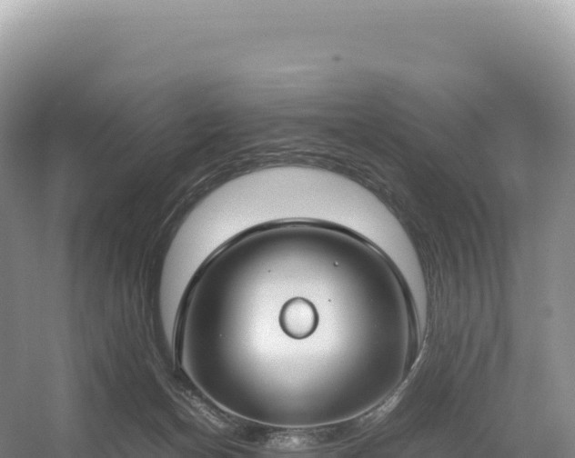 X0000054390174200508051657