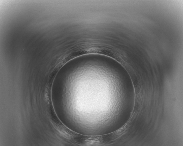 X0000054390175200508051657