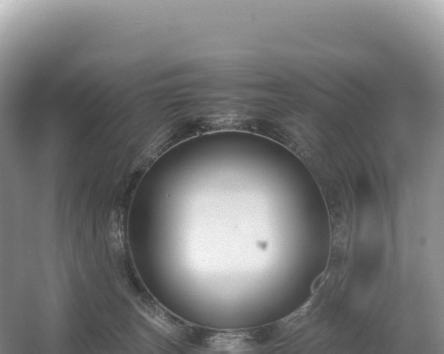 X0000054390179200508051657