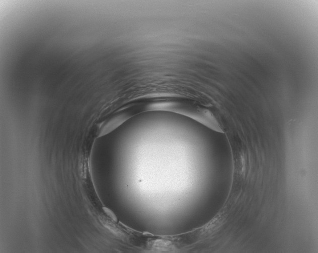 X0000054390180200508051657