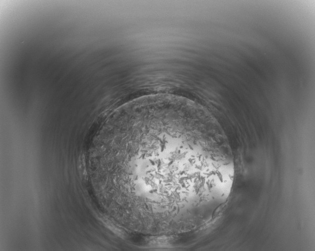 X0000054390182200508051657