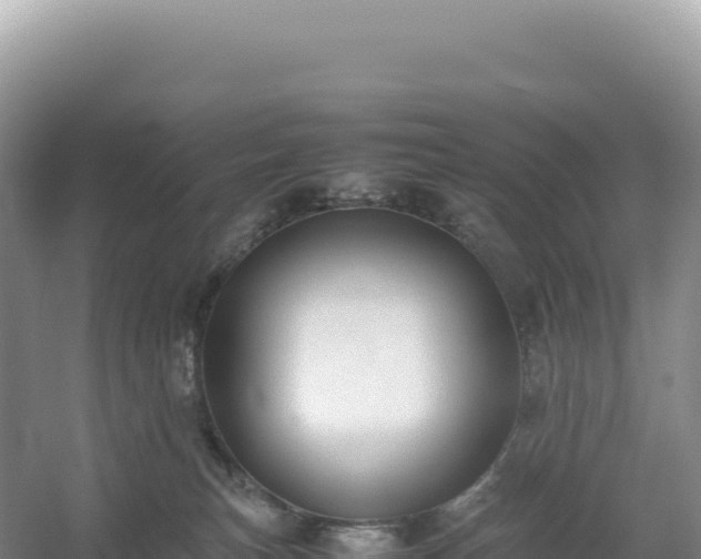 X0000054390183200508051657