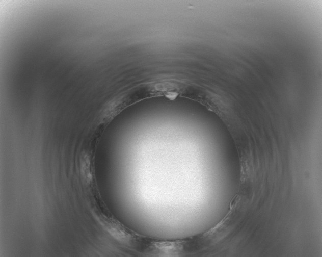 X0000054390187200508051657