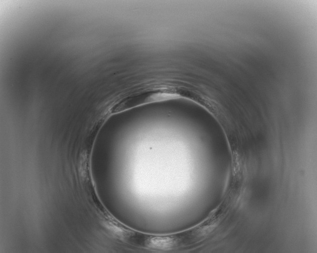 X0000054390189200508051657