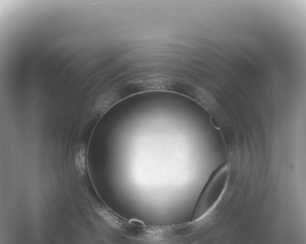 X0000054390190200508051657