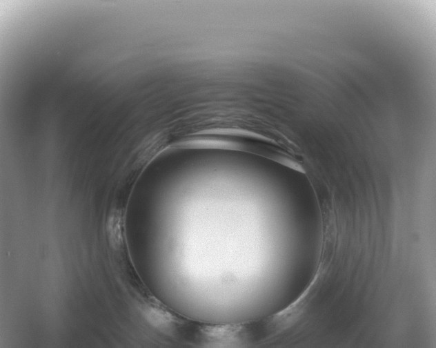 X0000054390191200508051657