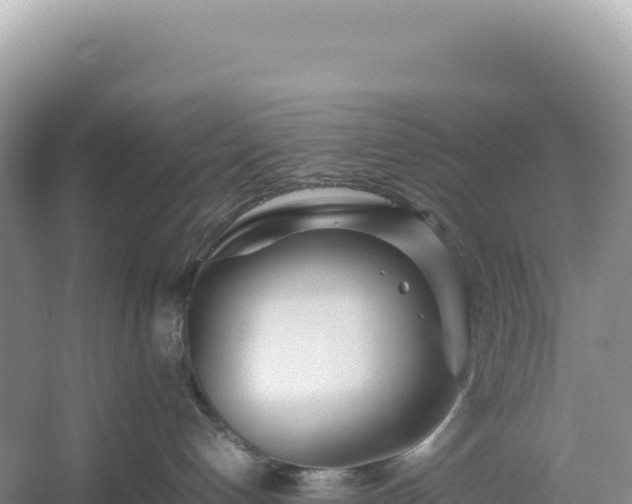 X0000054390192200508051657