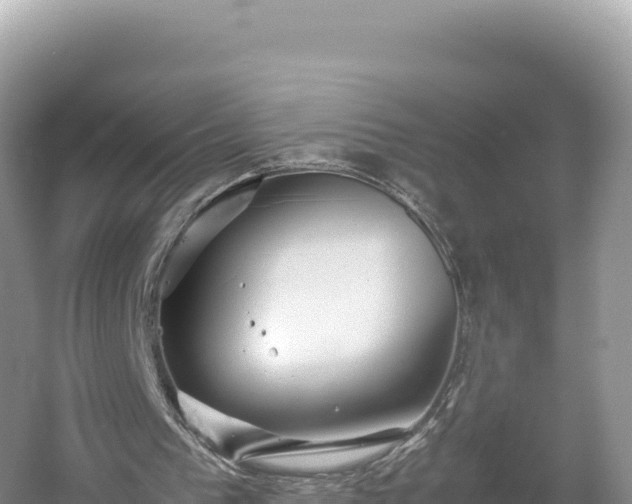 X0000054390193200508051656