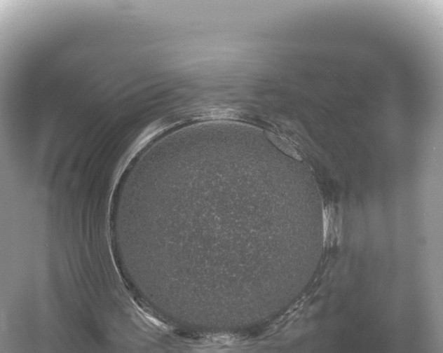 X0000054390195200508051656