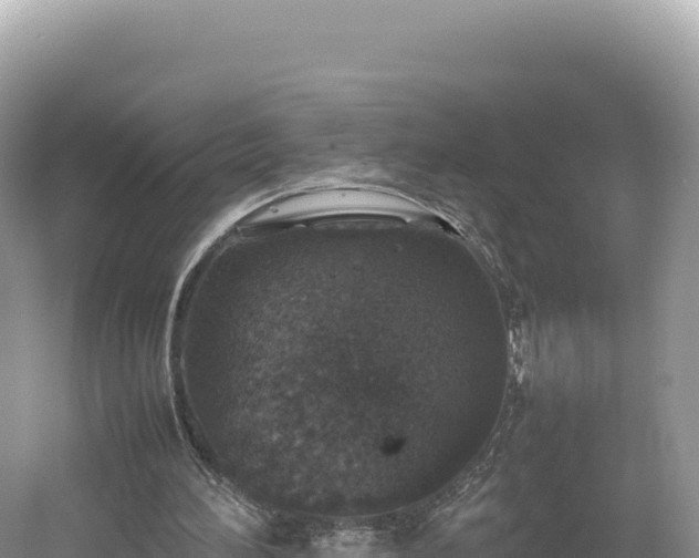 X0000054390196200508051656