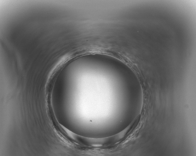 X0000054390197200508051656