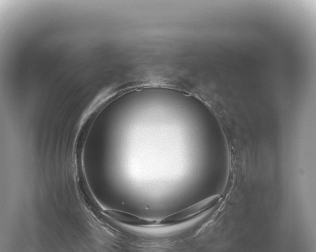 X0000054390198200508051656