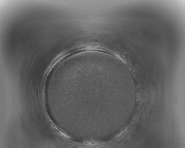 X0000054390199200508051656