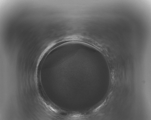 X0000054390200200508051656