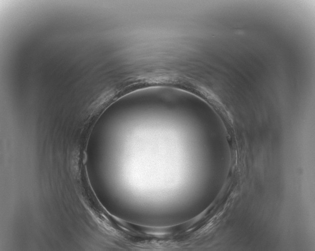 X0000054390201200508051656