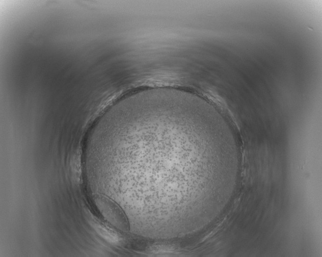 X0000054390202200508051656