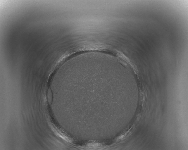 X0000054390203200508051656