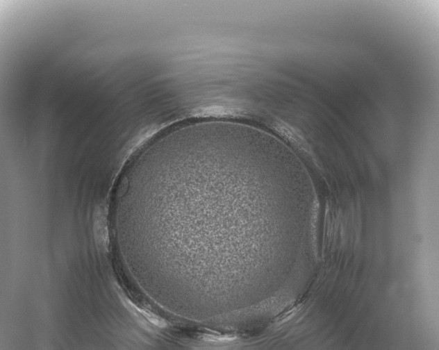 X0000054390204200508051656