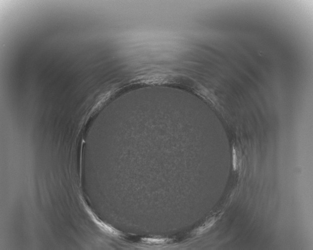 X0000054390205200508051656