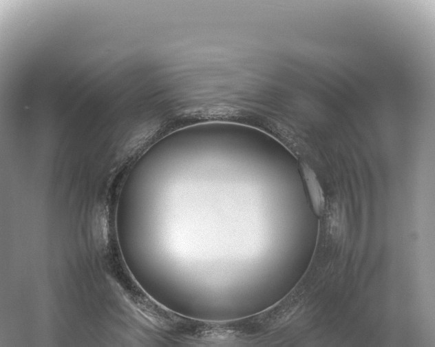 X0000054390206200508051656