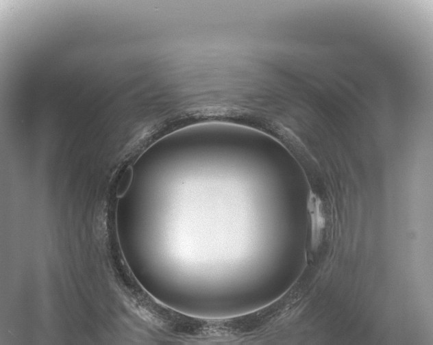 X0000054390207200508051656