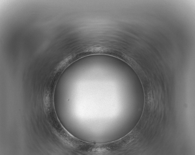 X0000054390208200508051656