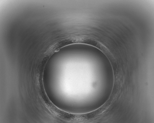 X0000054390209200508051656