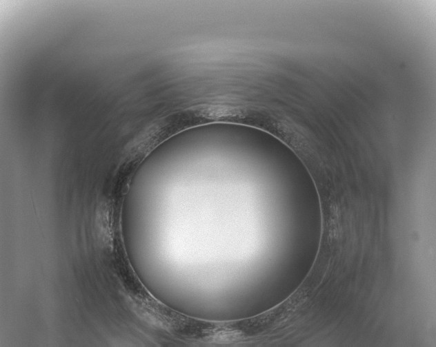 X0000054390210200508051656