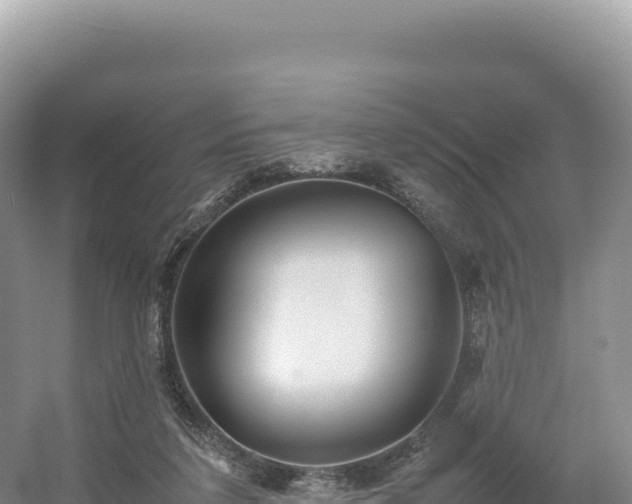 X0000054390211200508051656