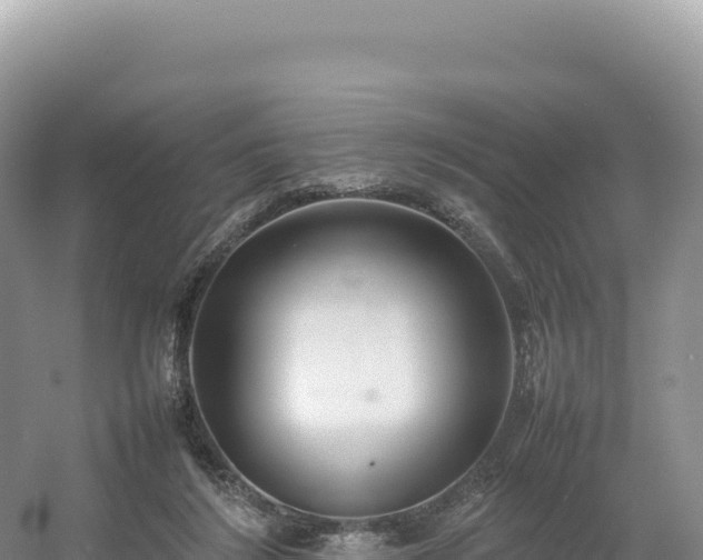 X0000054390212200508051656