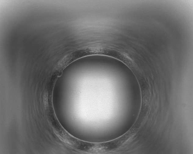 X0000054390213200508051656