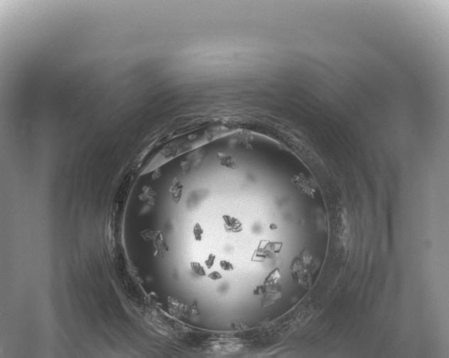 X0000054390214200508051656