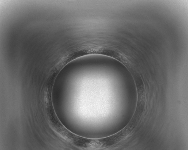 X0000054390215200508051656