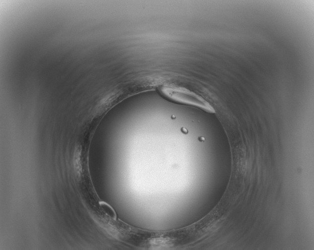 X0000054390216200508051656