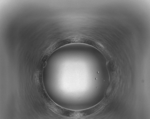 X0000054390217200508051656