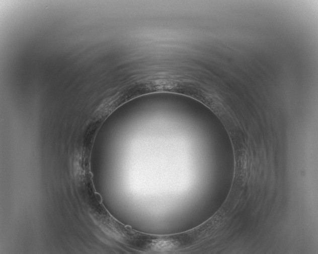 X0000054390218200508051656