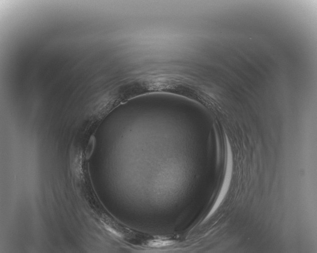 X0000054390219200508051656