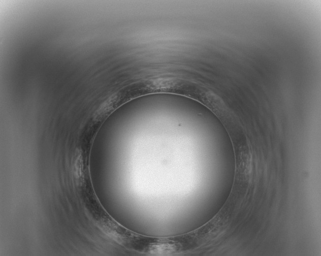 X0000054390220200508051656